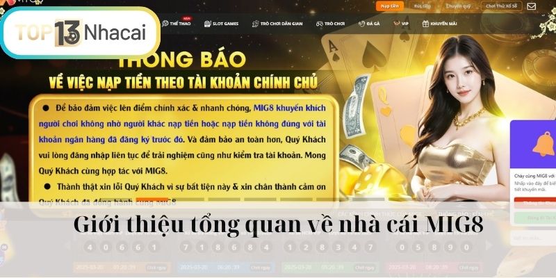 Giới thiệu tổng quan thông tin chung về nhà cái MIG8