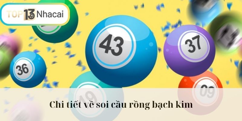 Chi tiết về soi cầu rồng bạch kim
