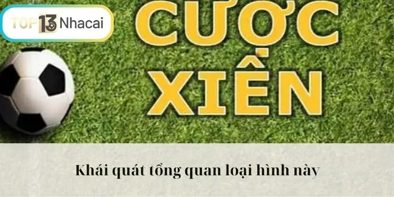 Khái quát tổng quan loại hình này