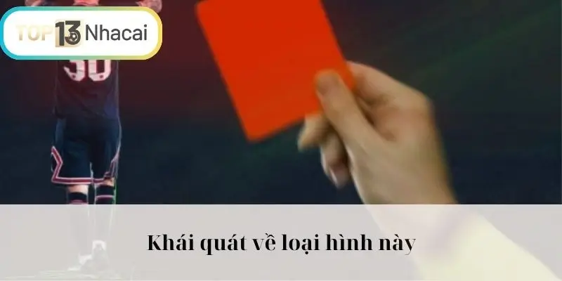 Khái quát về loại hình này