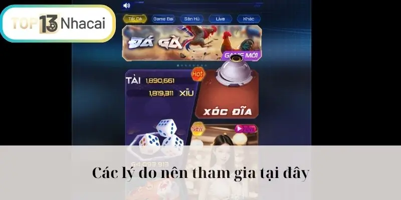 Các lý do nên tham gia tại đây