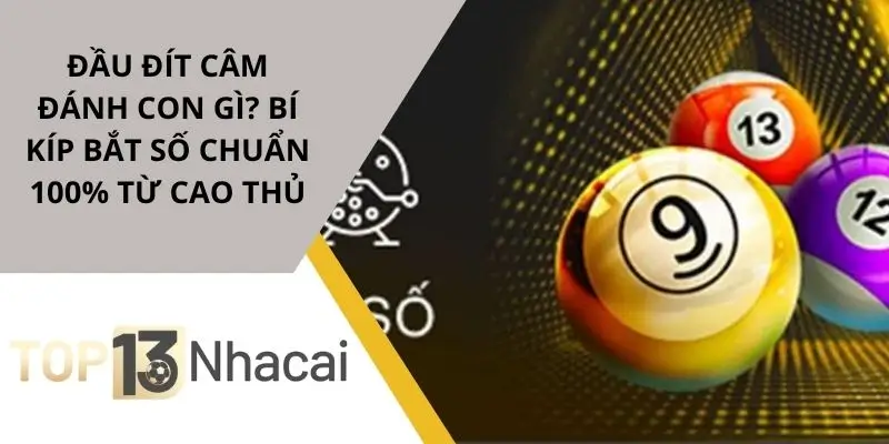 dau-dit-cam-danh-con-gi